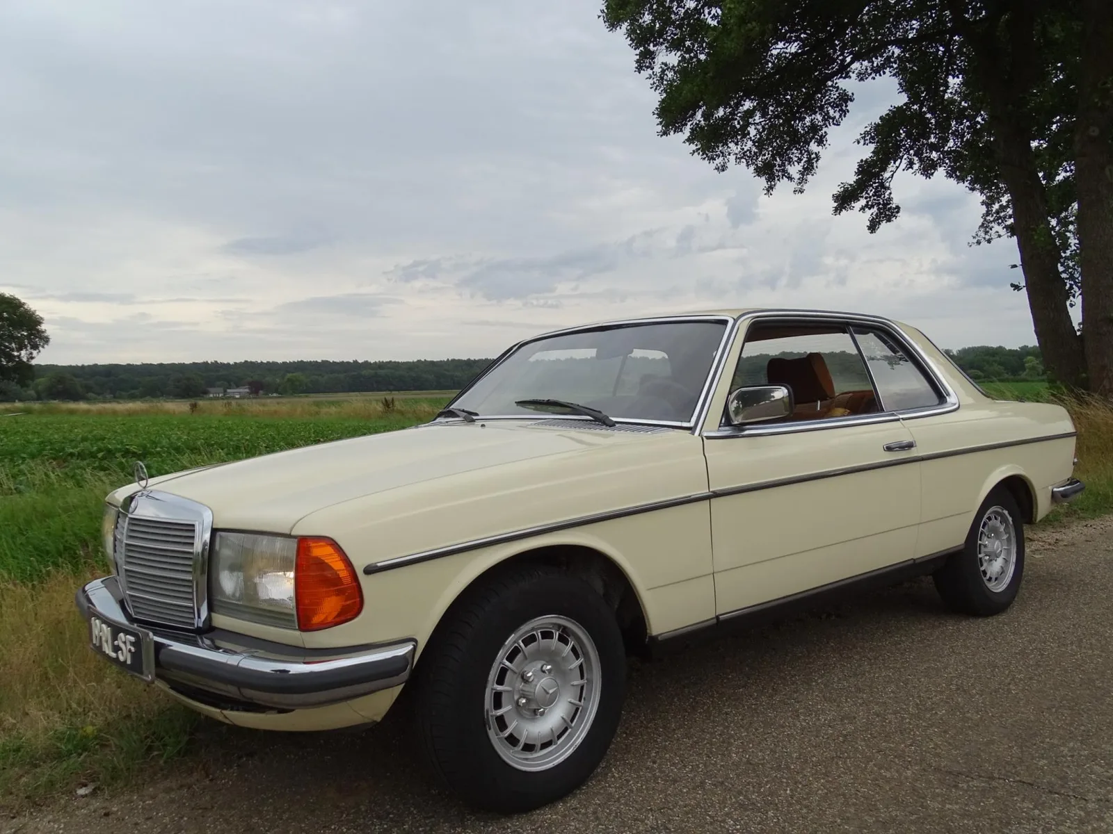 Mercedes-Benz 200-280 (1979) — foto 1