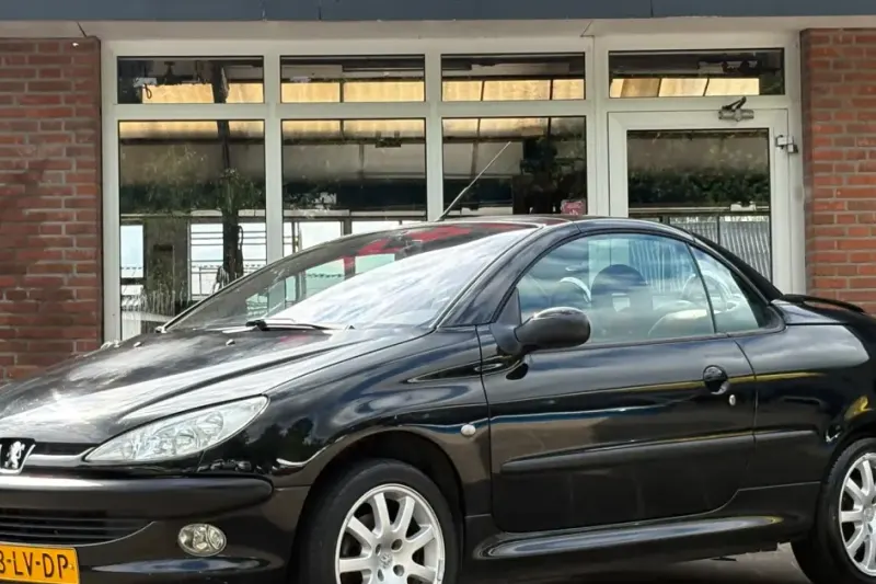 Peugeot 206 (2003)