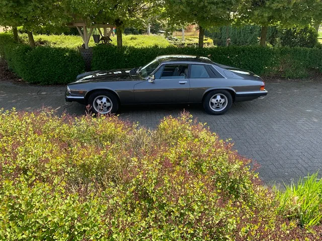 Jaguar XJS (1987) — foto 1