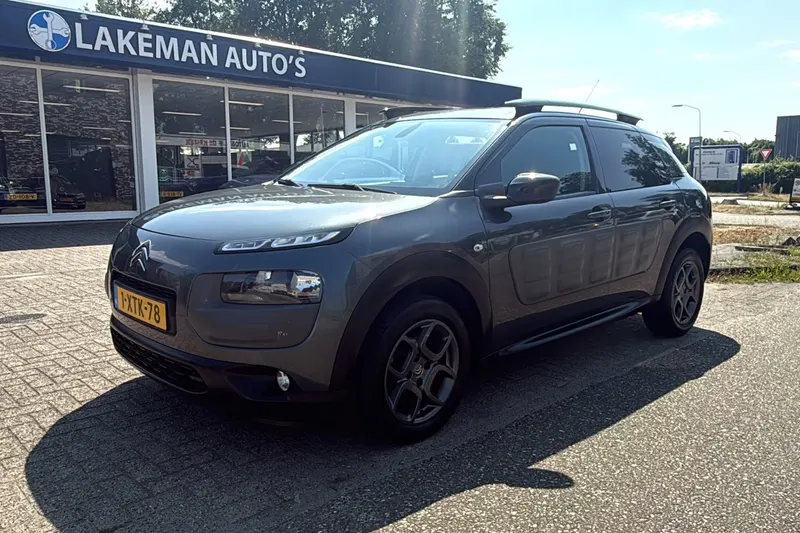 Citroën C4 Cactus (2014)