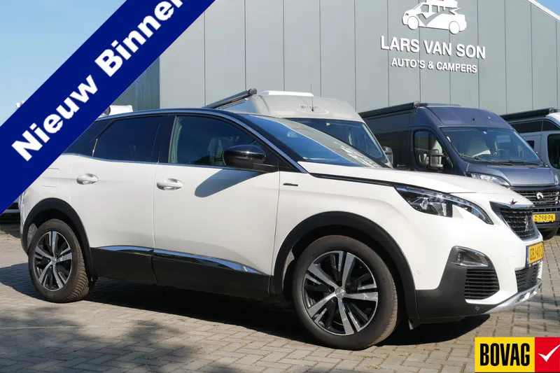 Peugeot 3008 (2019)