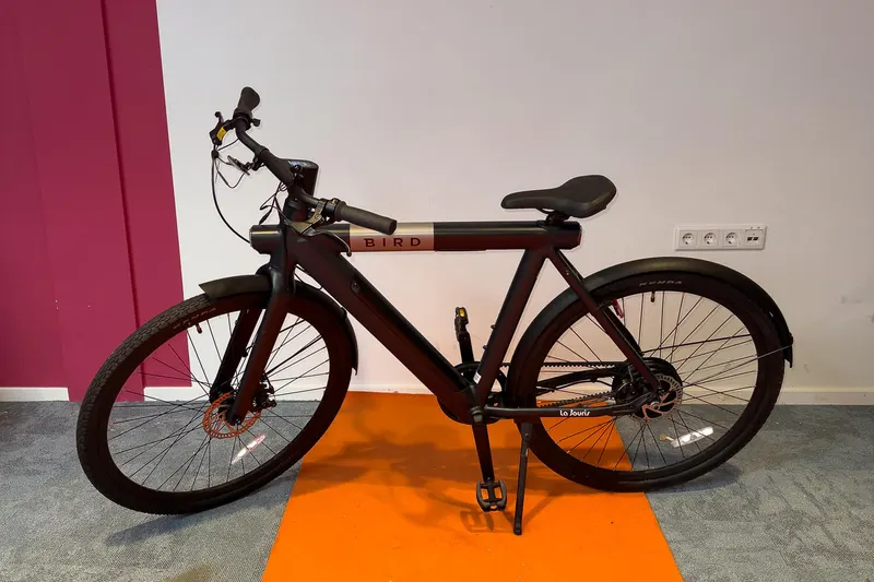 Birdbike A (2025)