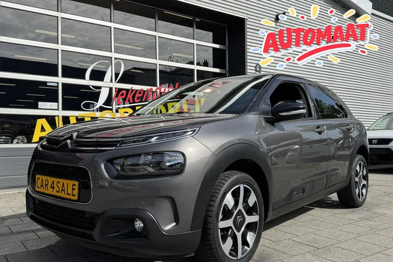 Citroën C4 Cactus (2019)