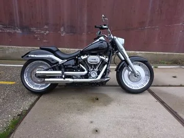 HARLEY-DAVIDSON SOFTAIL (2017) — foto 1