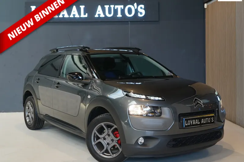 Citroën C4 Cactus (2015)