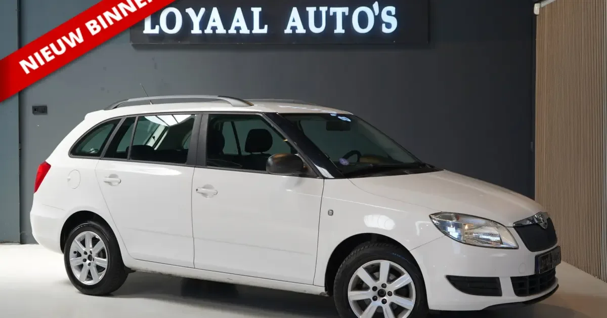 Škoda Fabia (2013) — foto 1