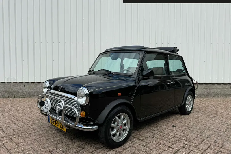 Rover Mini (1993)