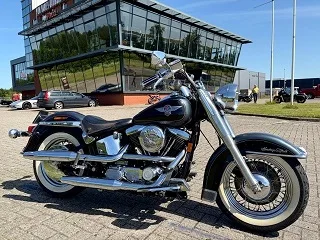 DS 1994 FLSTN SOFTAIL NOSTALGIA (1994) — foto 1