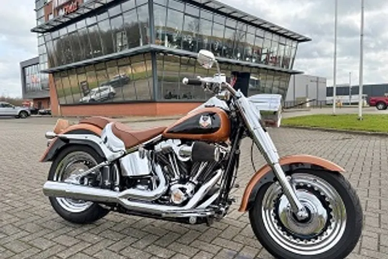 Harley-Davidson FAT BOY Special (2008)