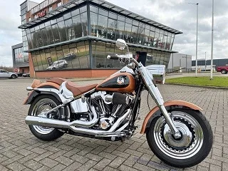 Harley-Davidson FAT BOY Special (2008) — foto 1