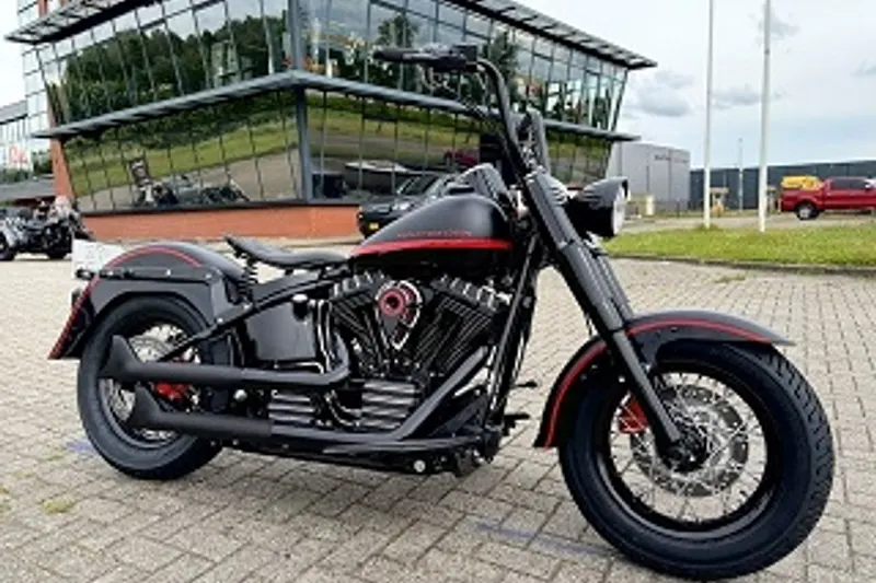 DS 2010 FLSTC SOFTAIL SPECIAL BLACK (2010)