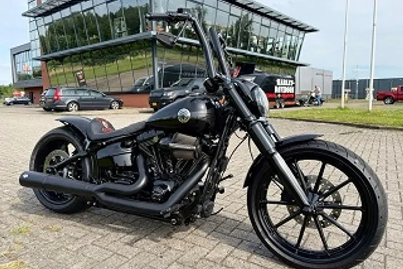 DS 2013 FXSB SOFTAIL BREAKOUT SPECIAL (2013)