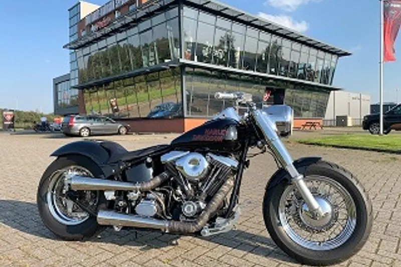DS FXST SOFTAIL SPECIAL (0)
