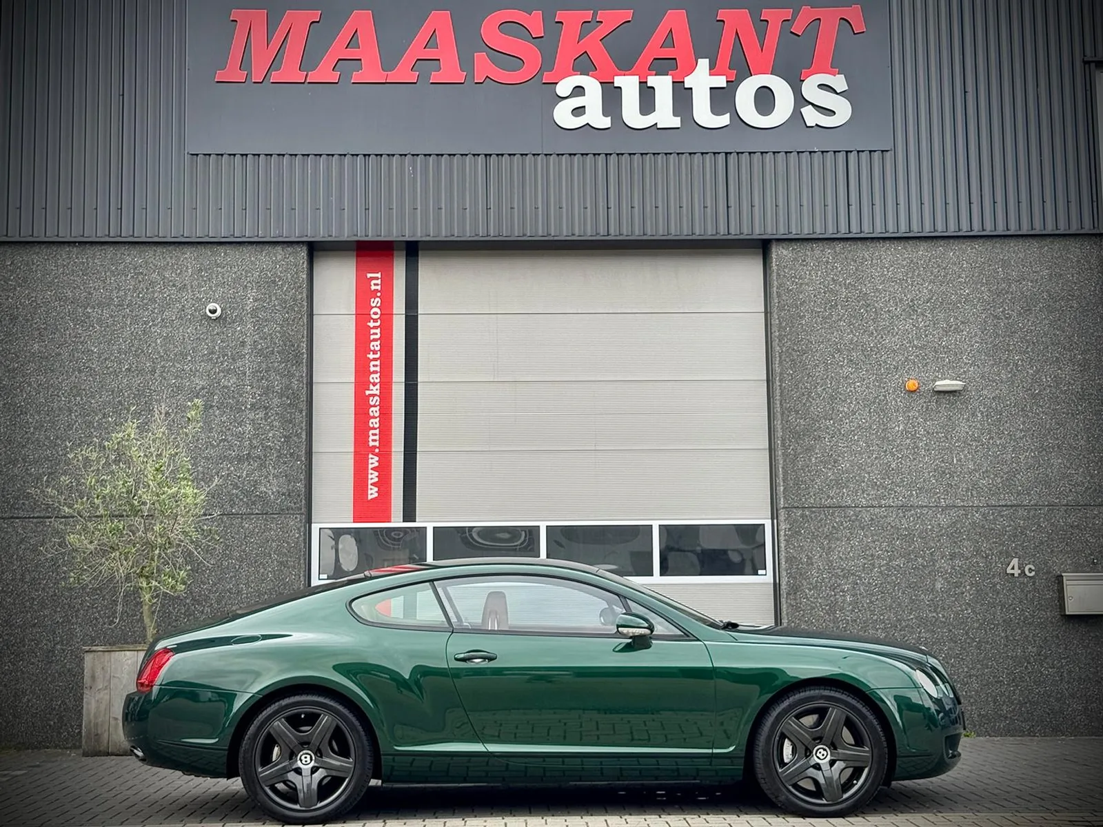 Bentley Continental GT (2004) — foto 1