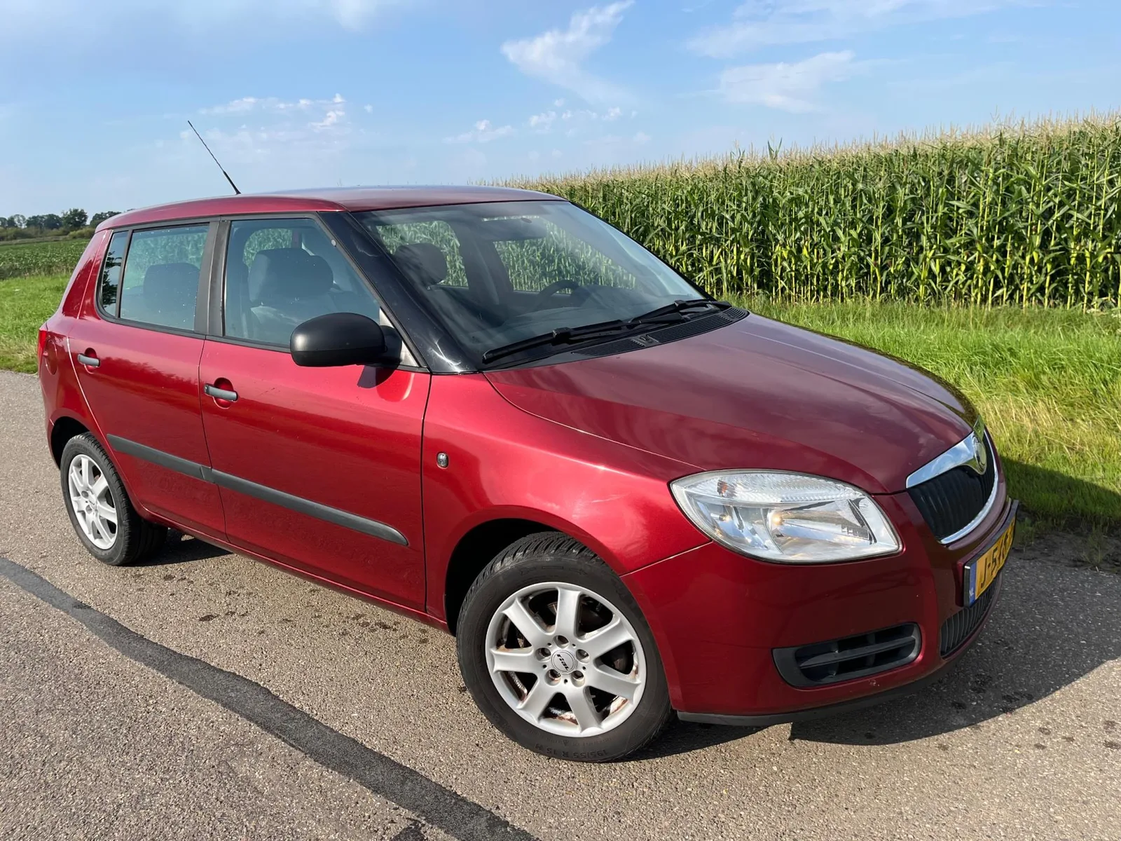 Škoda Fabia (2009) — foto 1