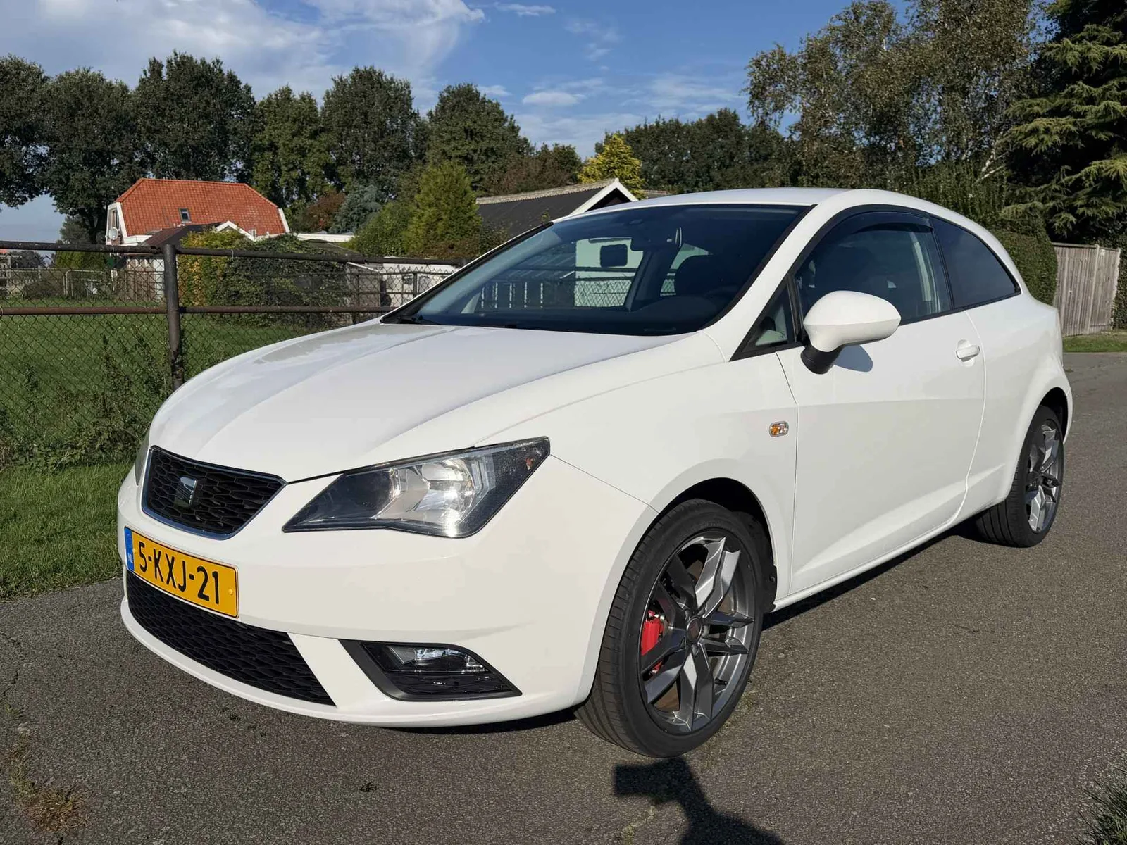 SEAT Ibiza (2013) — foto 1