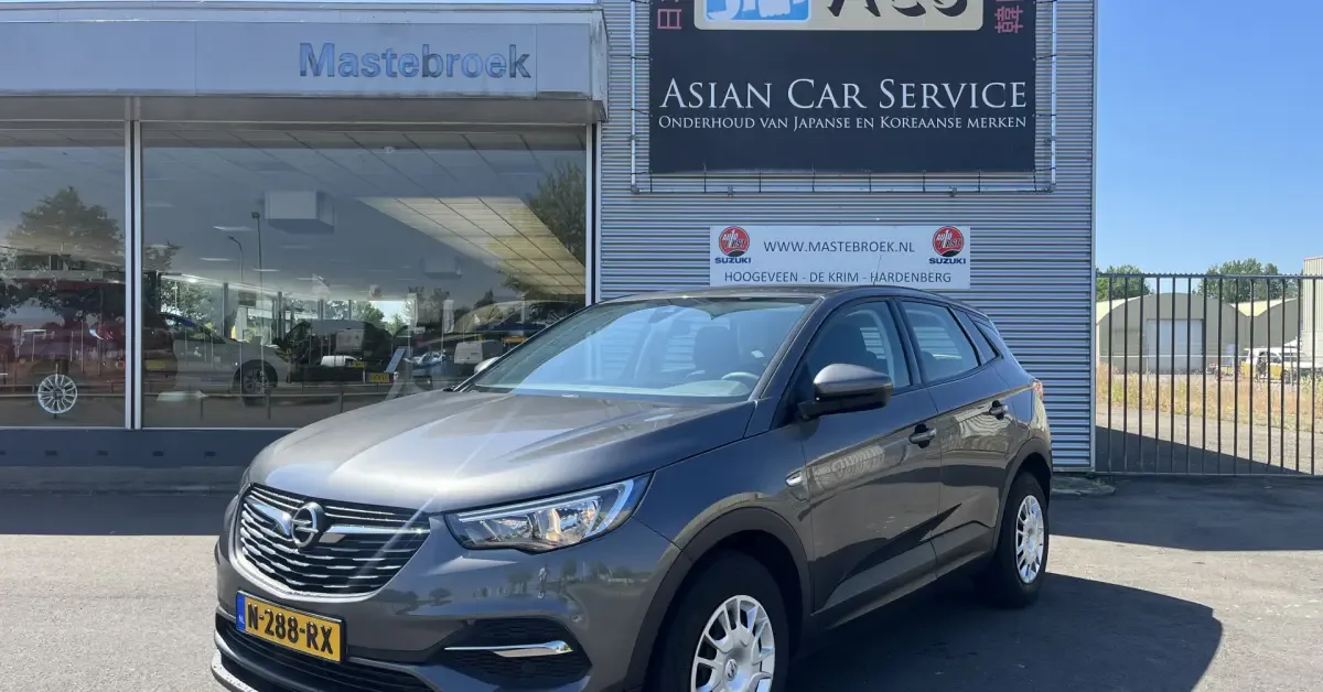 Opel Grandland (2019) — foto 1