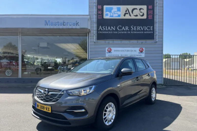 Opel Grandland X (2019)