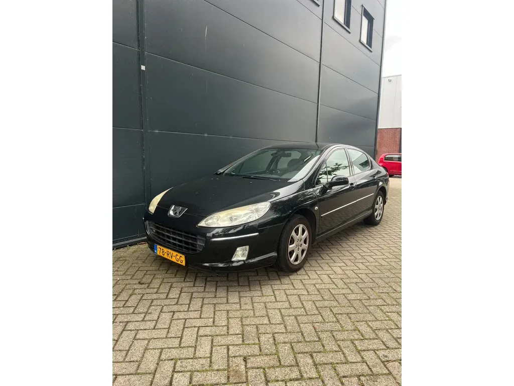 Peugeot 407 (2005) — foto 1