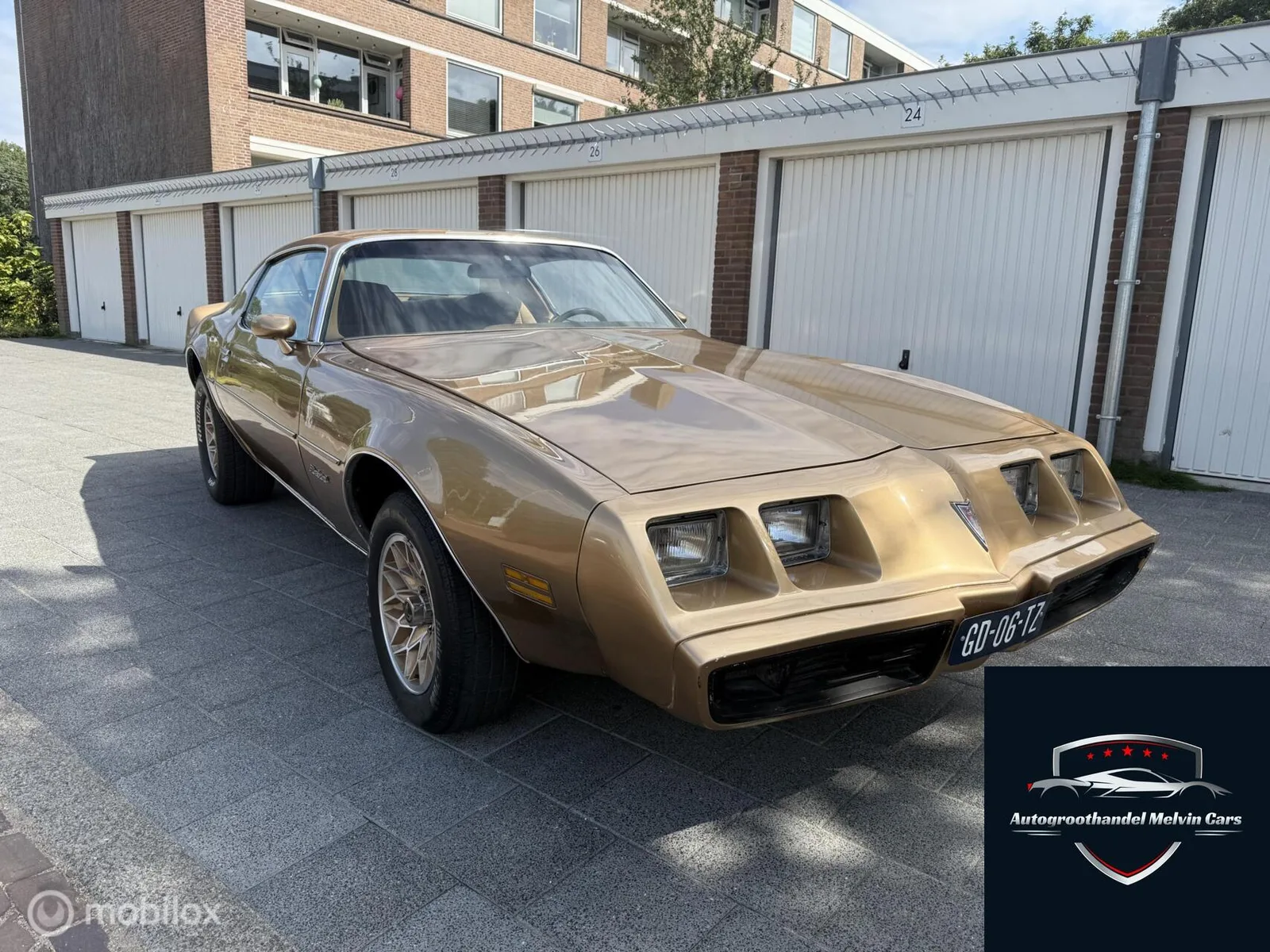 Pontiac Firebird (1980) — foto 1