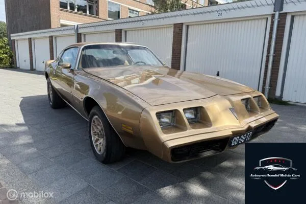 Pontiac Firebird (1980) — foto 1