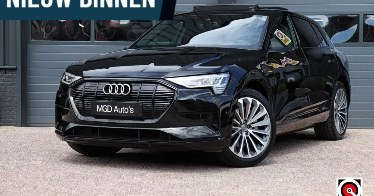 Audi e-tron (2019) — foto 1