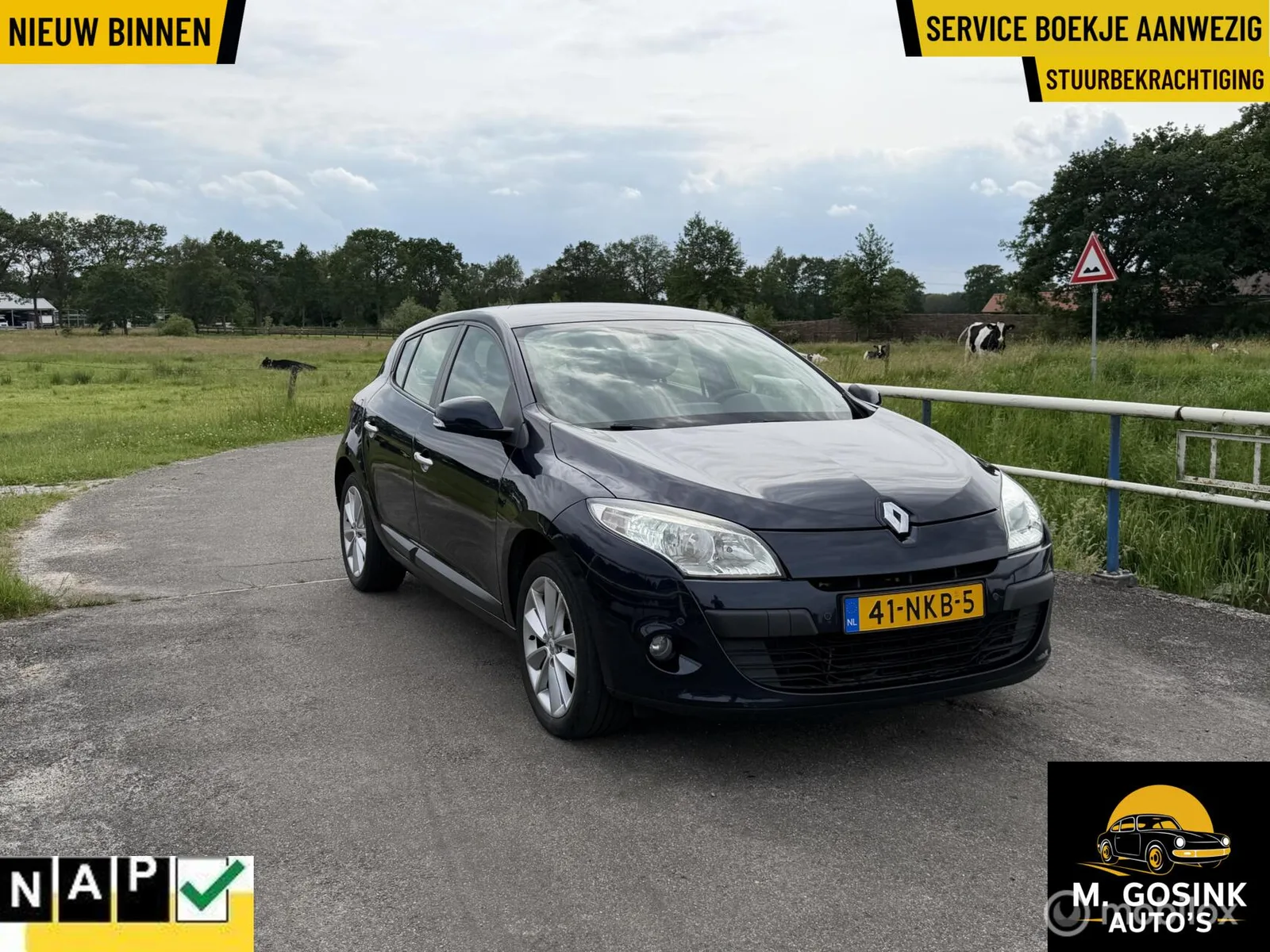 Renault Mégane (2010) — foto 1