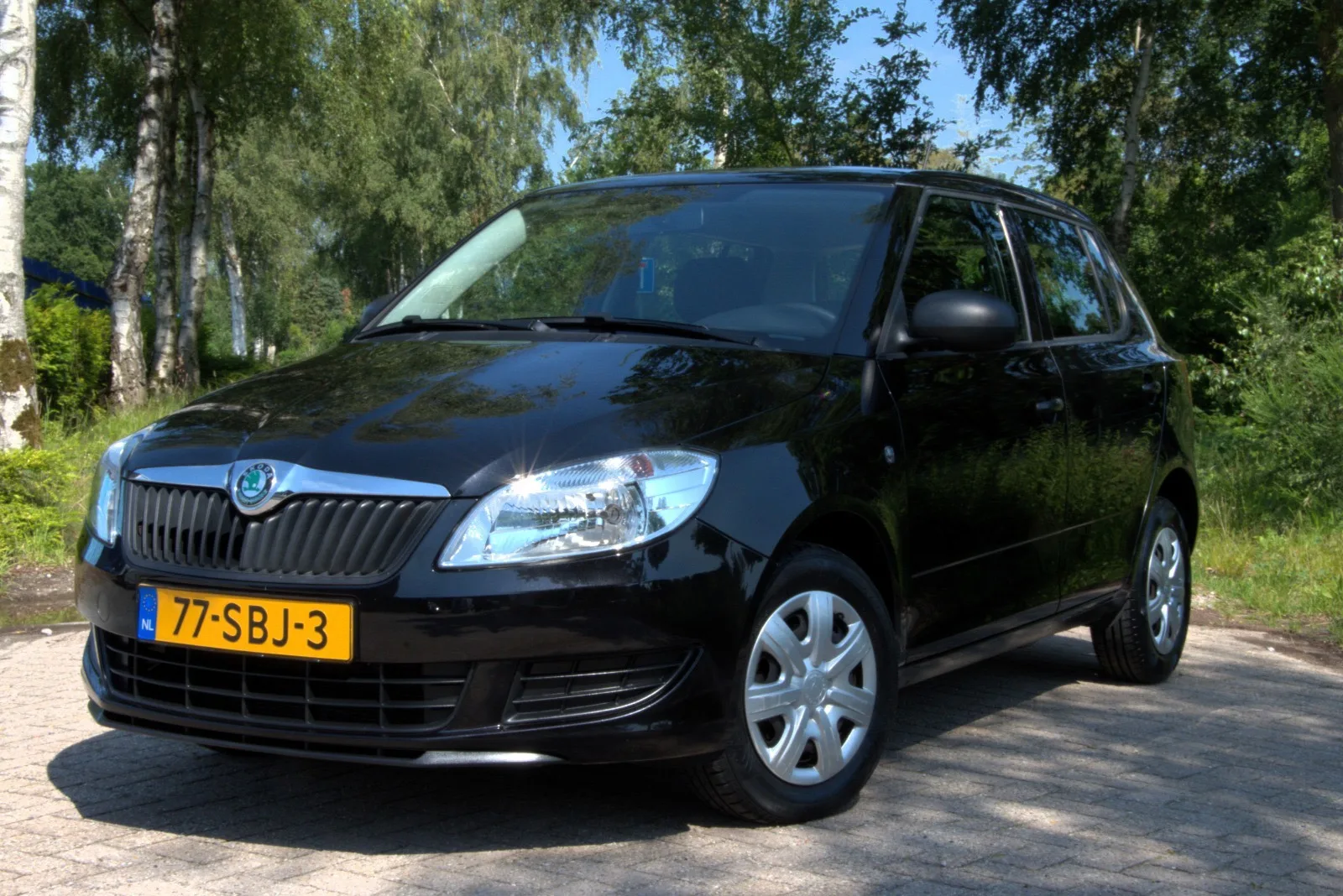 Škoda Fabia (2011) — foto 1