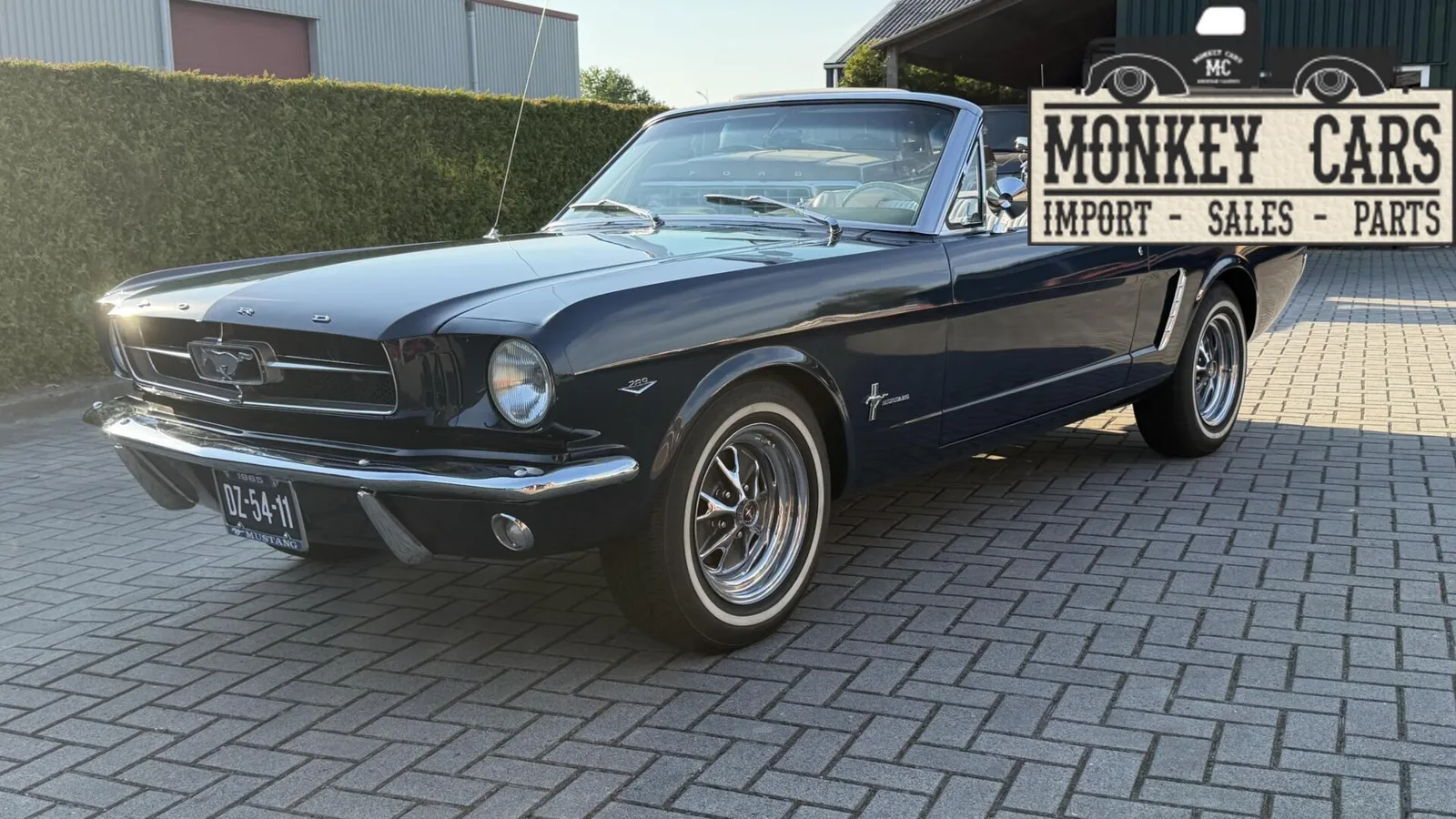 Ford Mustang (1965) — foto 1