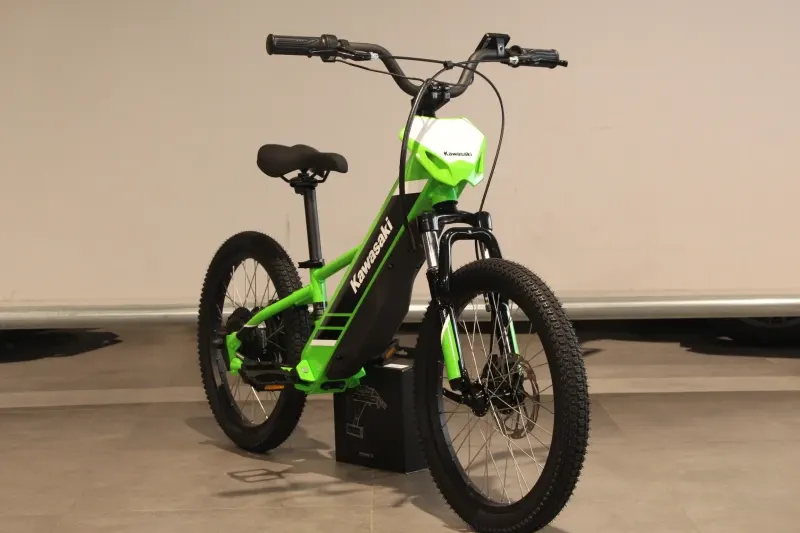 Kawasaki ELEKTRODE 20 (2025)