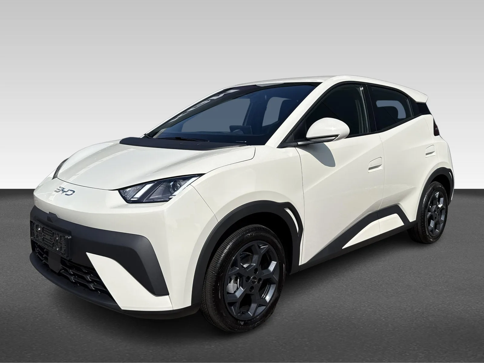 BYD Dolphin (2026) — foto 1