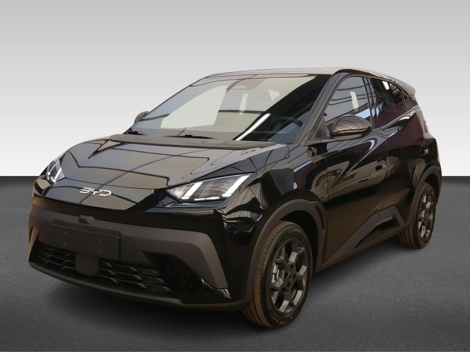BYD Dolphin Surf (2026) — foto 1