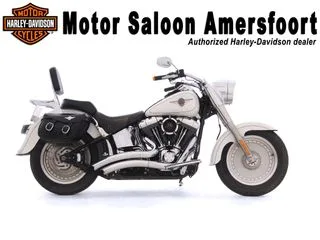 Harley-Davidson Softail FAT BOY (2001) — foto 1