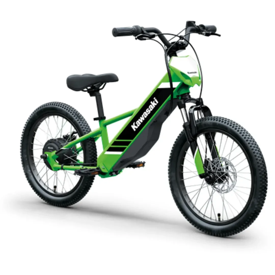 Kawasaki Elektrode 20 (2025) — foto 1