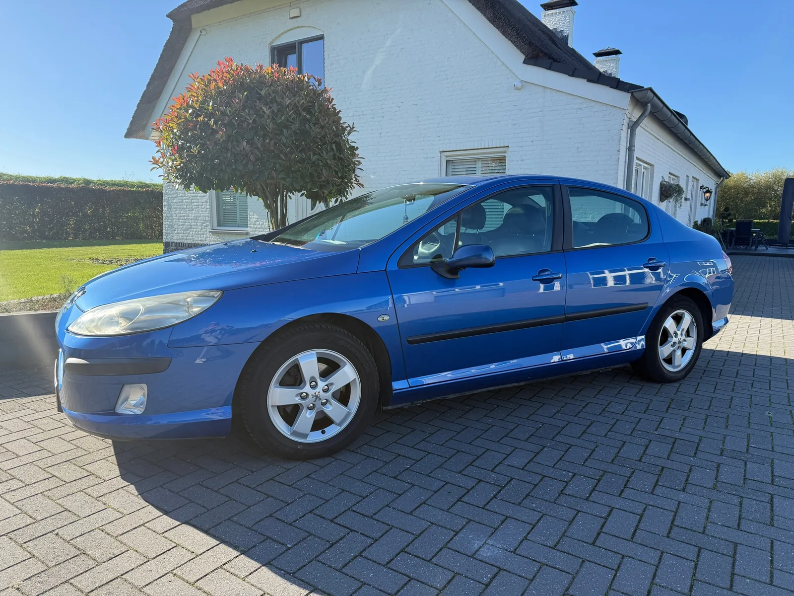 Peugeot 407 (2007) — foto 1