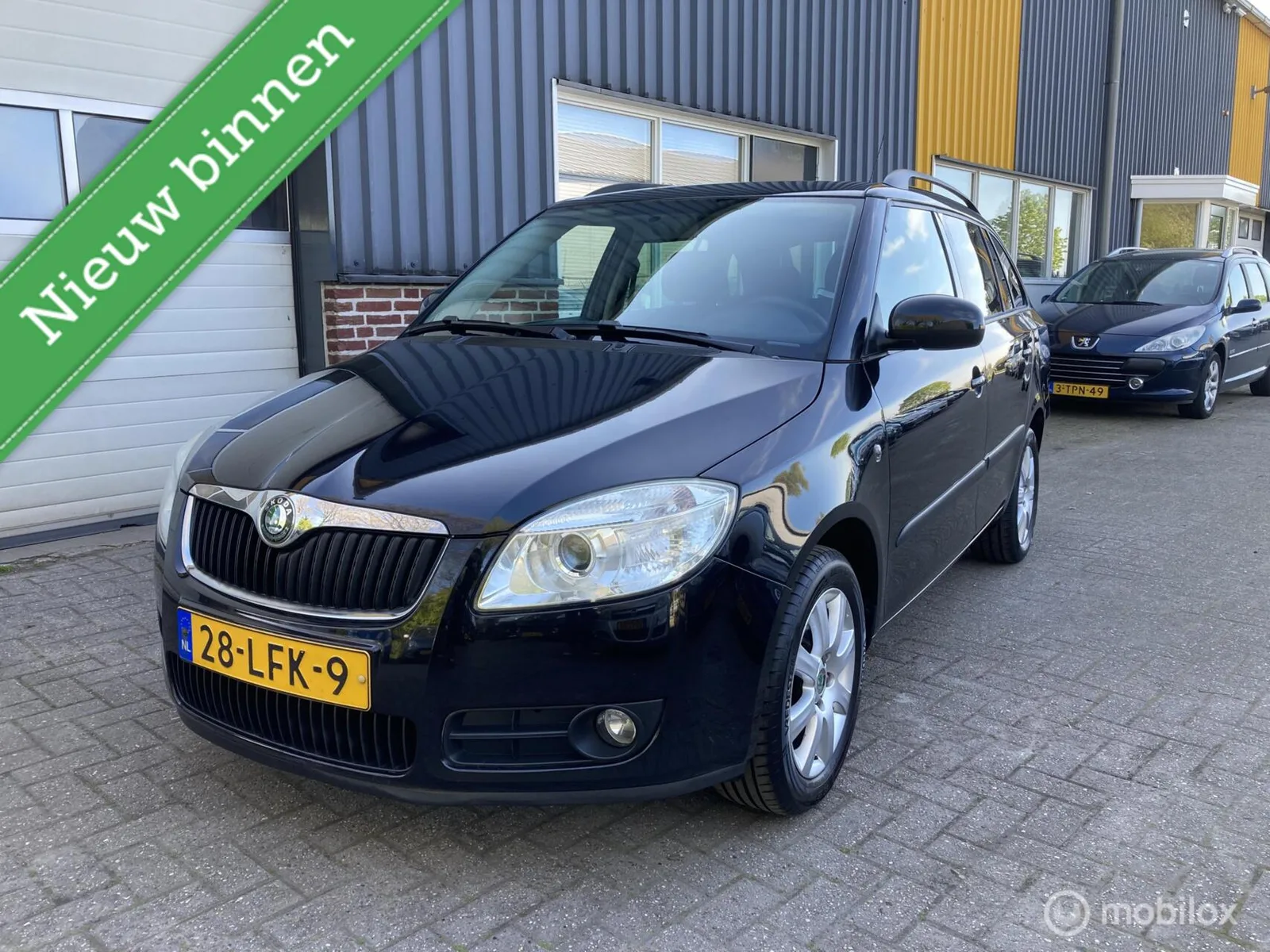 Škoda Fabia (2010) — foto 1