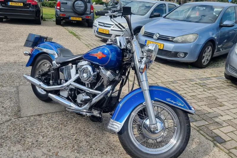 Harley-Davidson Heritage Softtail Classic bijzonder (1993)