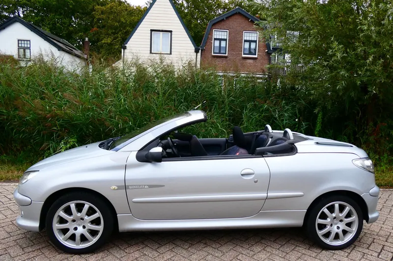 Peugeot 206 (2006)