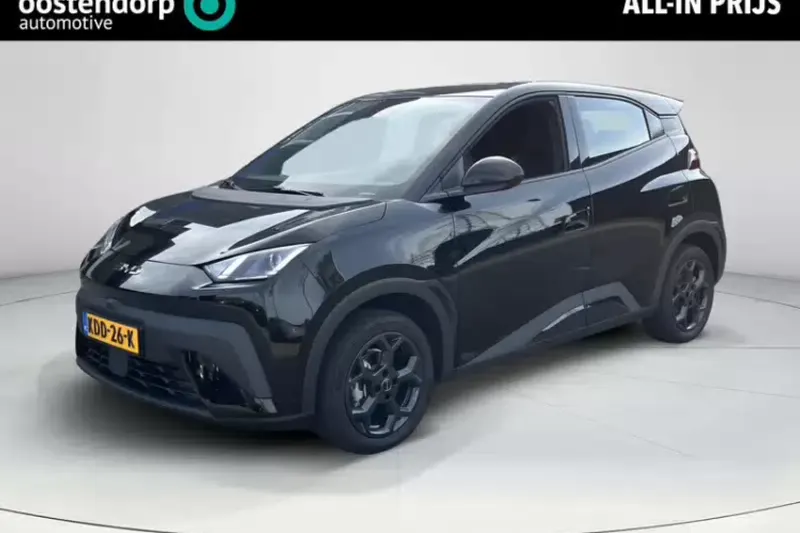 BYD Dolphin Surf (2026)