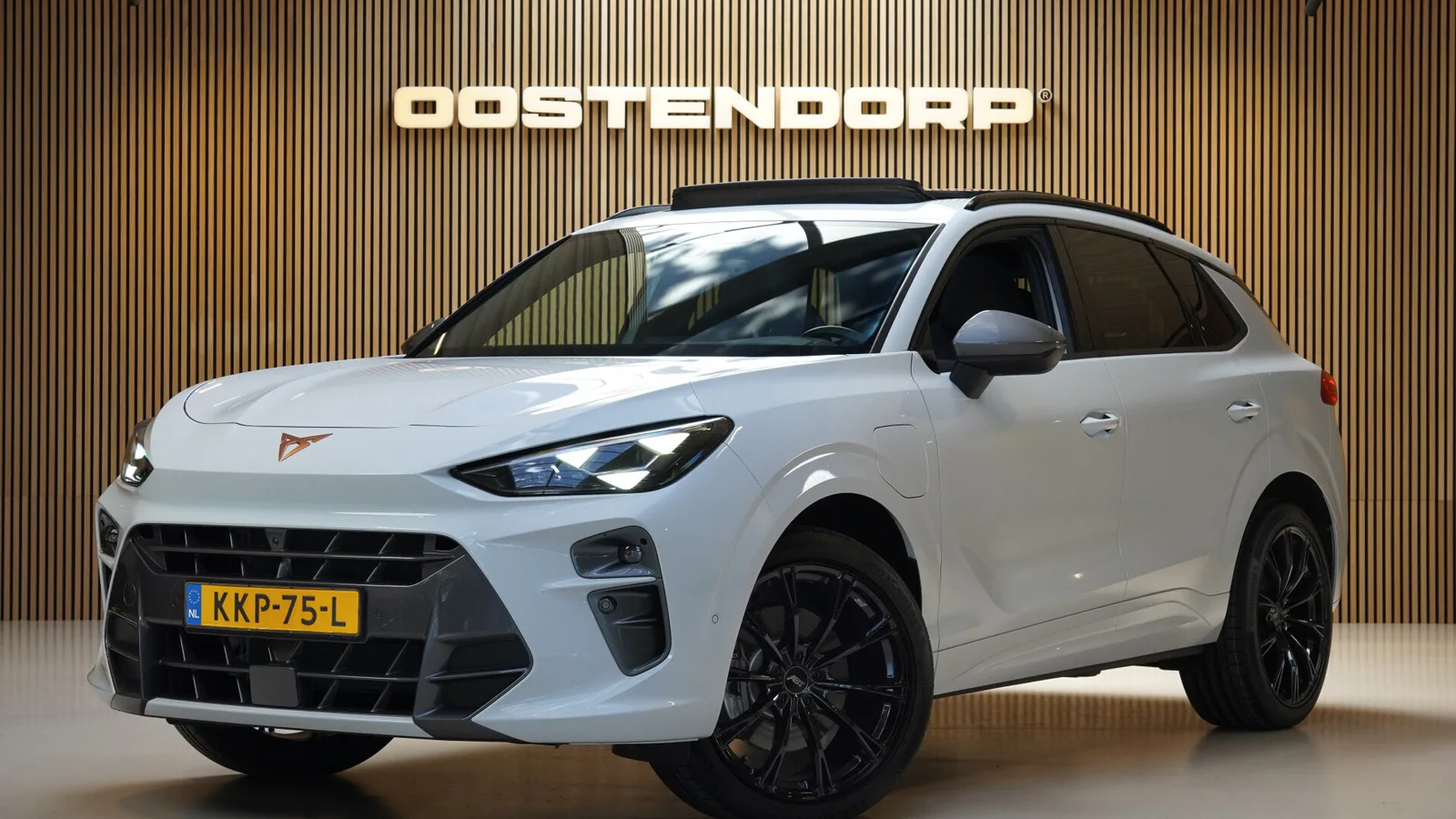 CUPRA Terramar (2025) — foto 1