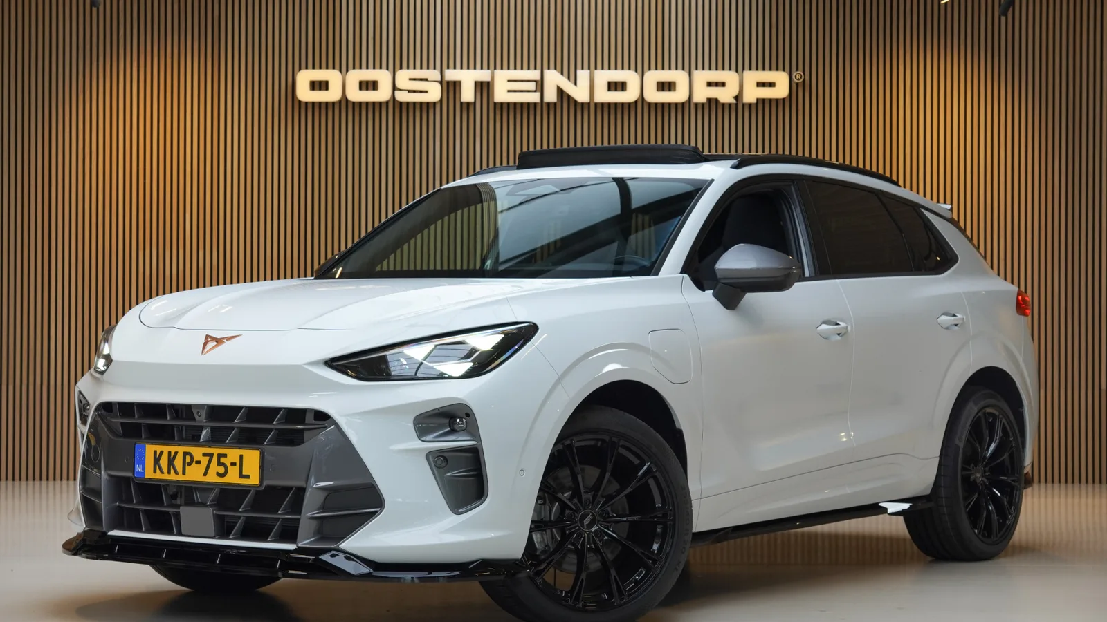 CUPRA Terramar (2025) — foto 1
