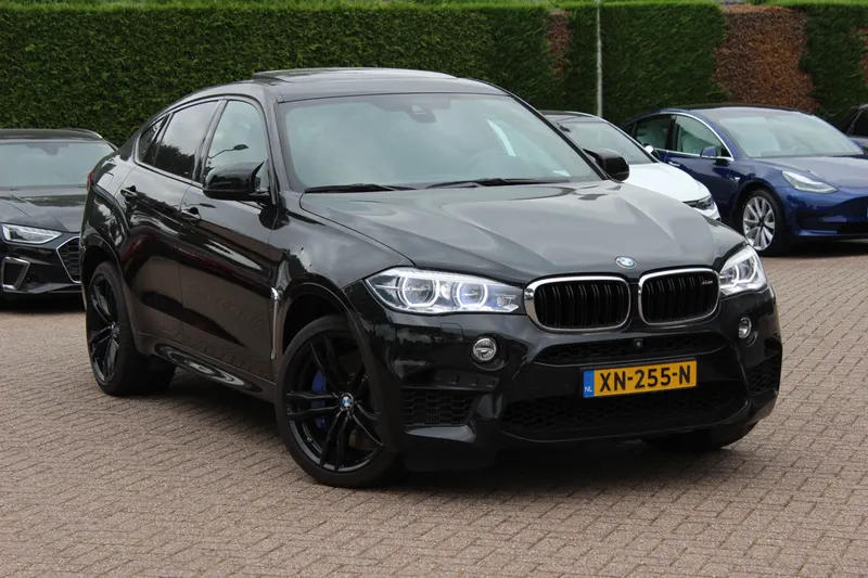 BMW X6 (2019)