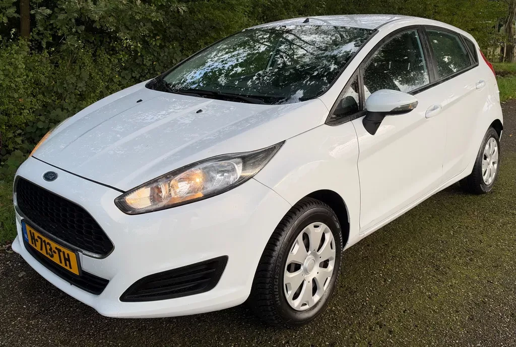 Ford Fiesta (2014) — foto 1