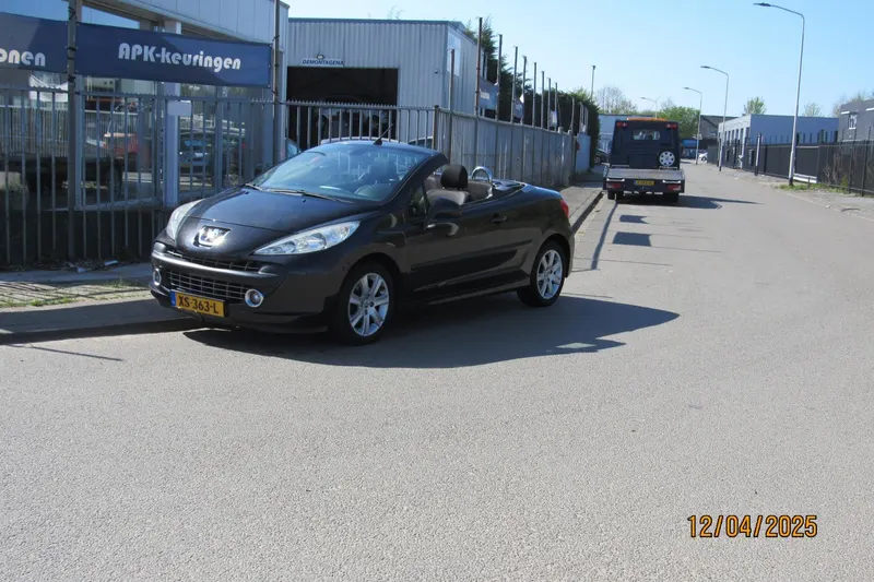 Peugeot 207 (2008)