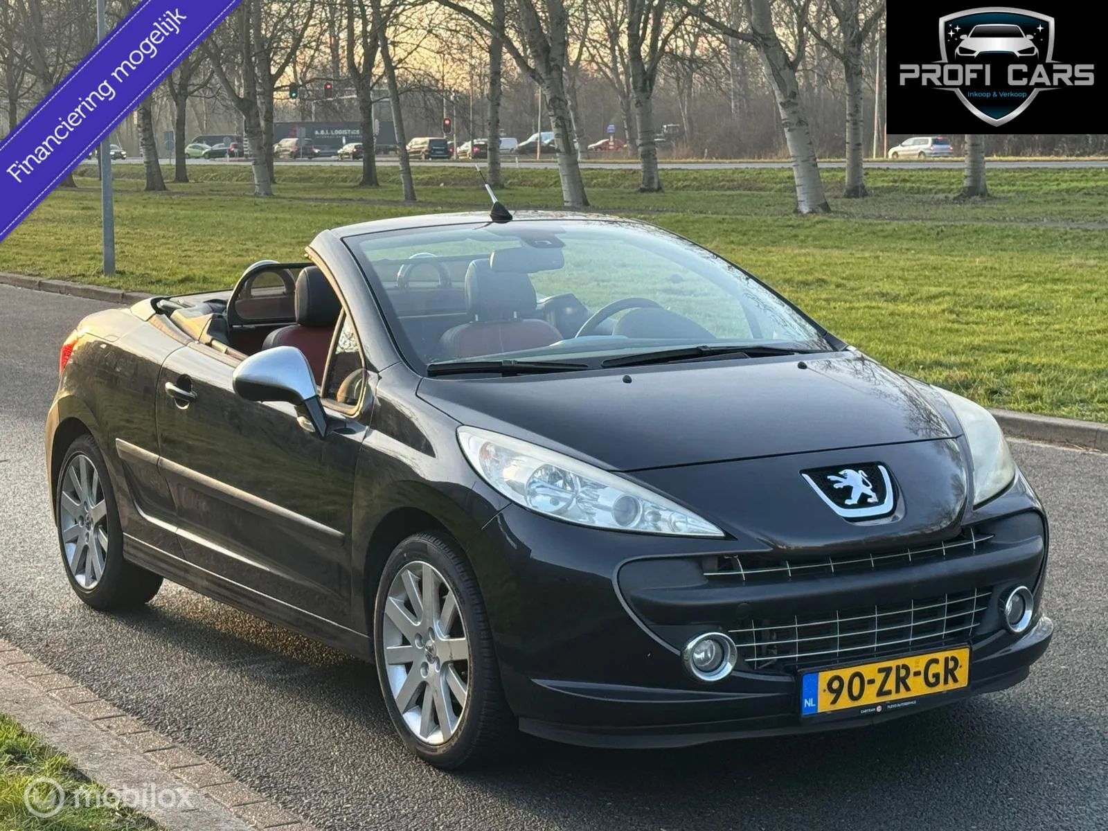 Peugeot 207CC (2008) — foto 1