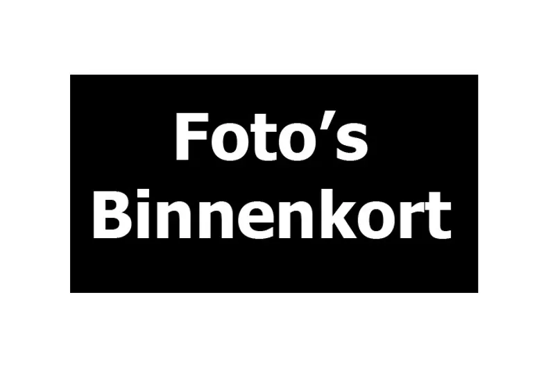 Ford Fiesta (2014)