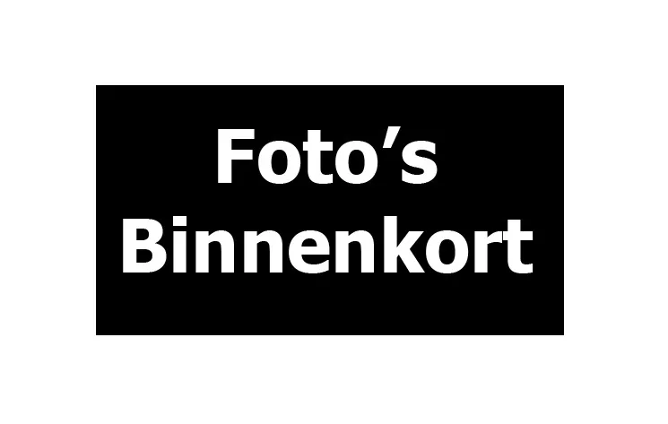 Ford Fiesta (2014) — foto 1