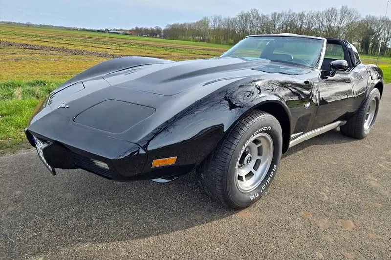 Chevrolet 1979 Chevrolet corvette targa c3 (2026)