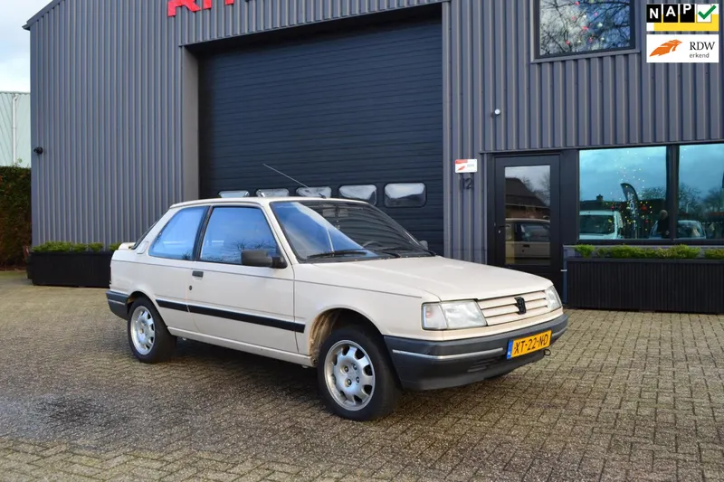 Peugeot 309 (1989)
