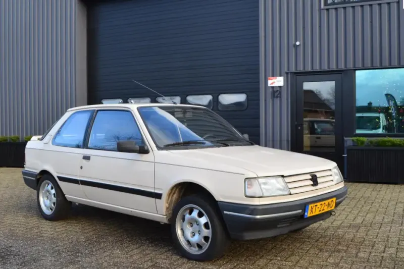 Peugeot 309 (1989)